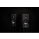 Polk Audio Reserve R100 (czarny) - raty 20x0% lub specjalna oferta!
