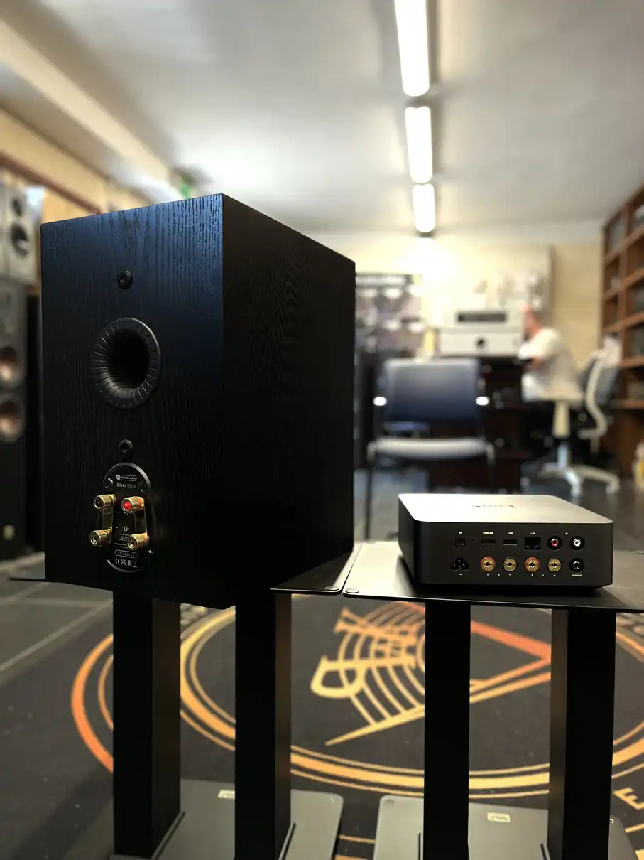 WiiM AMP ULTRA+ Monitor Audio Silver 100 7G (kolor do wyboru) – widok tylnej części głośnika i